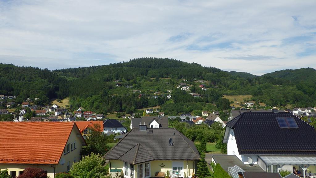 Haus Sonja Apartment Adenau Luaran gambar
